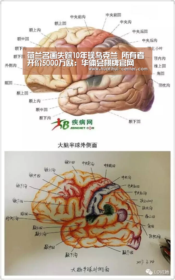 荷兰名画失踪10年现乌克兰 所有者开价5000万欧:华体会棋牌官网(图3) 华体会棋牌