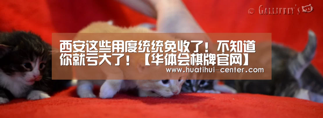 西安这些用度统统免收了!不知道你就亏大了!【华体会棋牌官网】(图1)
西安这些用度统统免收了!不知道你就亏大了!【华体会棋牌官网】(图1)