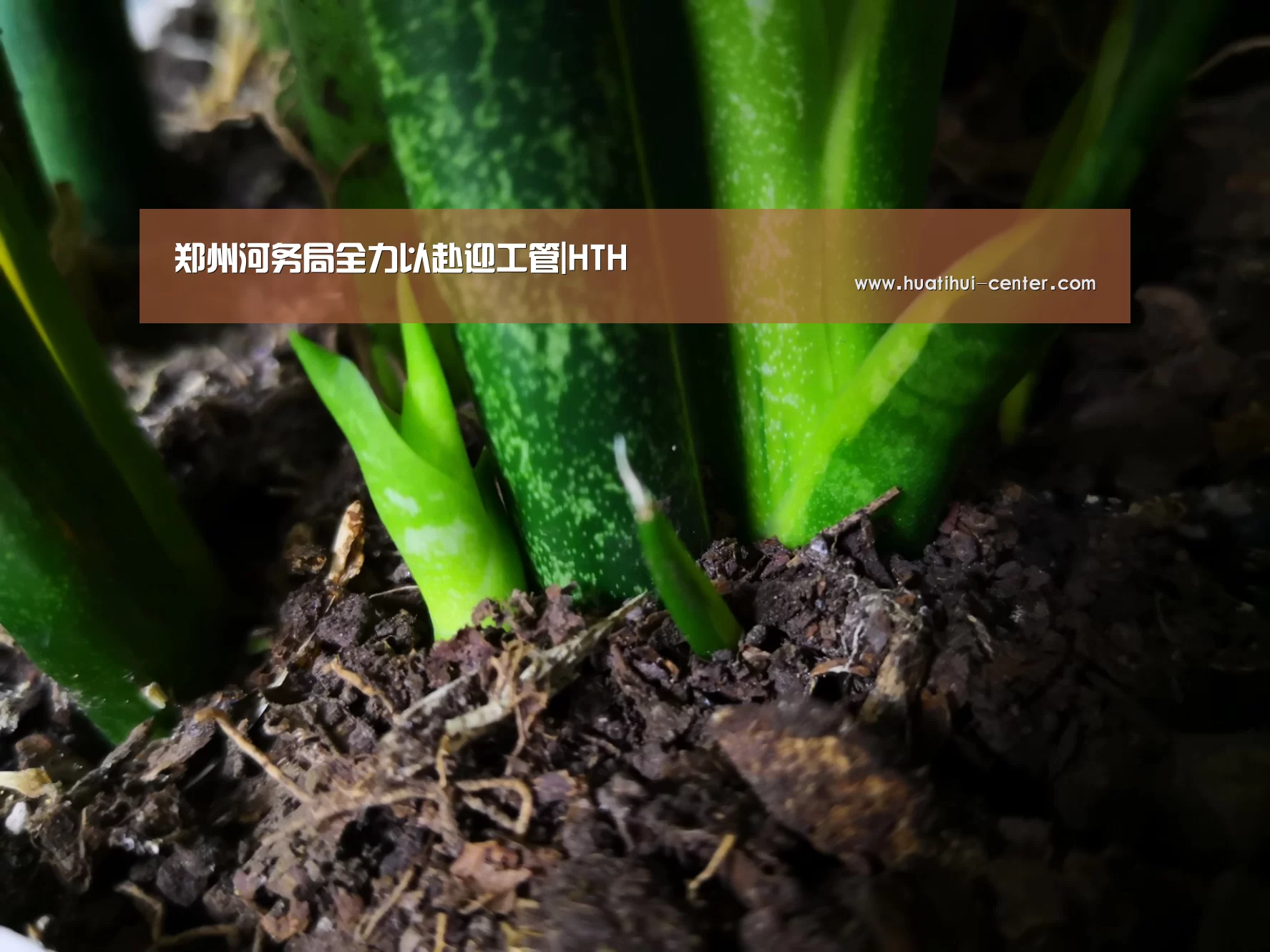 郑州河务局全力以赴迎工管|HTH(图1) 华体会棋牌官网